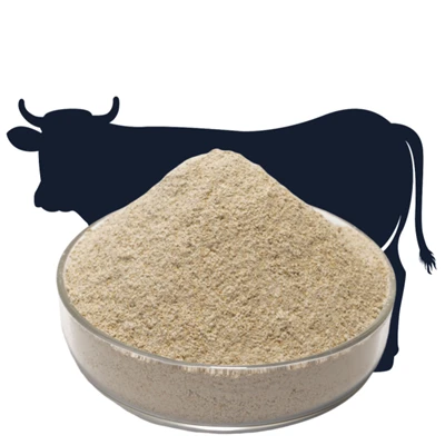 Agghiuncitivu prubbiòticu